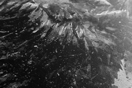 WANDBILD KÖNIG DER TIERE IN SCHWARZ-WEISSEN AQUARELL - SCHWARZ-WEISSE BILDER - BILDER