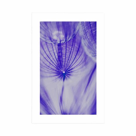 POSZTER PASZPORTUVAL PITYPANG LILA ÁRNYALATBAN - VIRÁGMINTÁS - POSZTEREK