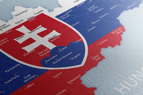OBRAZ MAPA SLOVENSKA SE STÁTNÍM ZNAKEM A OKOLNÍMI STÁTY - OBRAZY MAPY - OBRAZY