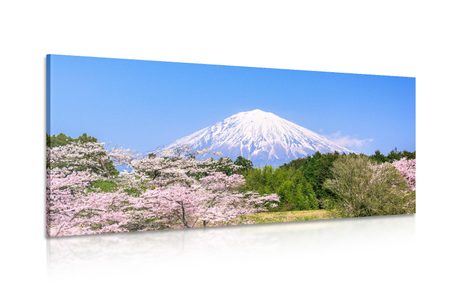 CANVAS PRINT MOUNT FUJI - PICTURES OF NATURE AND LANDSCAPE - PICTURES