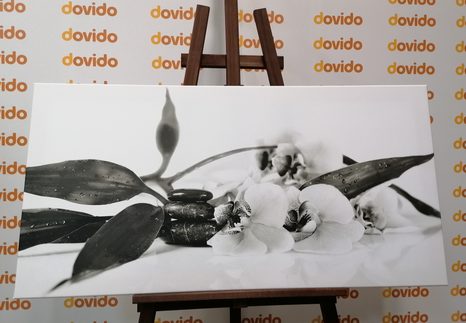 OBRAZ ZÁTIŠÍ S ZEN KAMENY V ČERNOBÍLÉM PROVEDENÍ - ČERNOBÍLÉ OBRAZY - OBRAZY