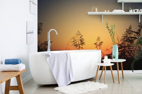 FOTOTAPETA STÉBLA TRÁVY PŘI ZÁPADU SLUNCE - TAPETY PŘÍRODA - TAPETY