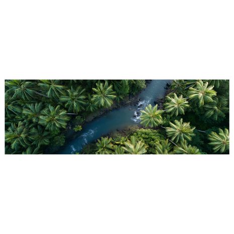 OBRAZ POHLED Z VRCHOLU LESA - OBRAZY STROMY A LISTY - OBRAZY