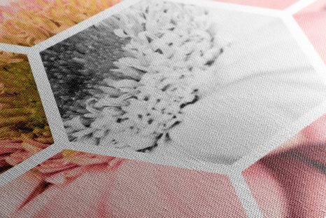 КАРТИНА НА ПЛАТНО – ГЕРГИНА В ШЕСТОЪГЪЛНИК - КАРТИНИ С ЦВЕТЯ - КАРТИНИ