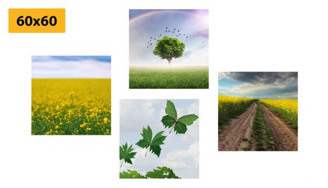 BILDER-SET SCHILLERNDE NATUR - BILDERSETS - BILDER