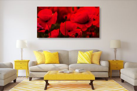 OBRAZ KRÁSNÉ POLE VLČÍCH MÁKŮ - OBRAZY KVĚTŮ - OBRAZY