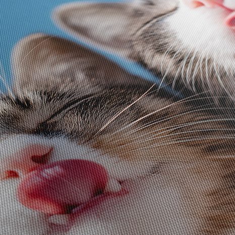 OBRAZ HRAVÉ KOČKY NA MODRÉM POZADÍ - OBRAZY KOČKY - OBRAZY