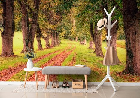 WALL MURAL TRAIL THROUGH THE AUTUMN FOREST - WALLPAPERS NATURE - WALLPAPERS