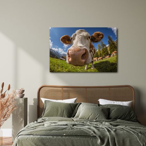 OBRAZ KRÁVA V HORSKÉ PŘÍRODĚ - OBRAZY BUVOLI A KRÁVY - OBRAZY