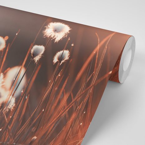 SELF ADHESIVE WALL MURAL COTTON GRASS - SELF-ADHESIVE WALLPAPERS - WALLPAPERS