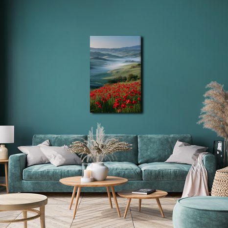 OBRAZ ČERVENÉ MÁKY V KRAJINĚ - OBRAZY POLE A LOUKY - OBRAZY