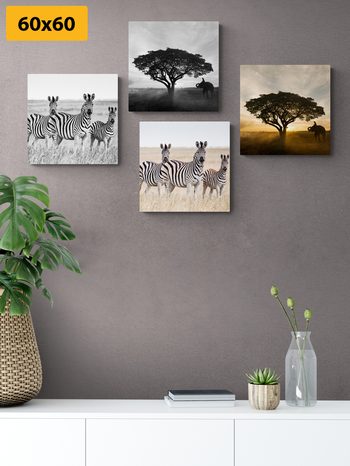 CANVAS PRINT SET ANIMALS LIVING ON THE SAVANNAH - SET OF PICTURES - PICTURES