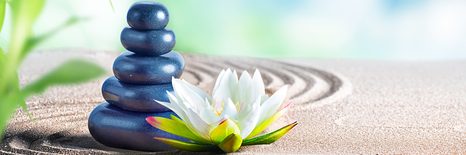 КАРТИНА НА ПЛАТНО – ОРИЕНТАЛСКИ КАМЪНИ - ФЪН ШУЙ КАРТИНИ - КАРТИНИ