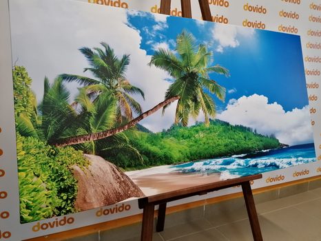 ΕΙΚΌΝΑ ΌΜΟΡΦΗ ΠΑΡΑΛΊΑ ΣΤΟ ΝΗΣΊ ΤΩΝ ΣΕΫΧΕΛΛΏΝ - ΠΊΝΑΚΕΣ ΦΎΣΗΣ ΚΑΙ ΤΟΠΊΟΥ - ΠΊΝΑΚΕΣ