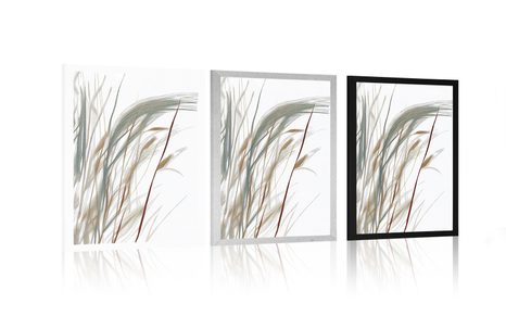 PLAKÁT MINIMALISTICKÁ STÉBLA TRÁVY - STROMY A LISTY - PLAKÁTY