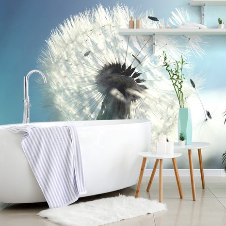 WALL MURAL DETAIL OF DANDELIONS - WALLPAPERS FLOWERS - WALLPAPERS