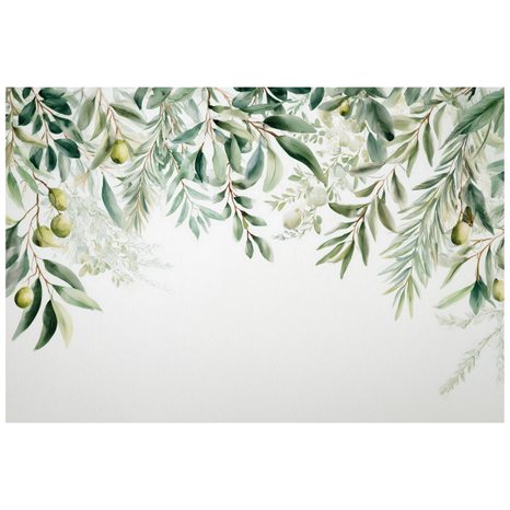 PAPIER PEINT PANORAMIQUE ADHÉSIF – BRANCHES D'OLIVIER VERTES SUR FOND BLANC - PAPIER PEINT FEUILLES - PAPIERS PEINTS PANORAMIQUES