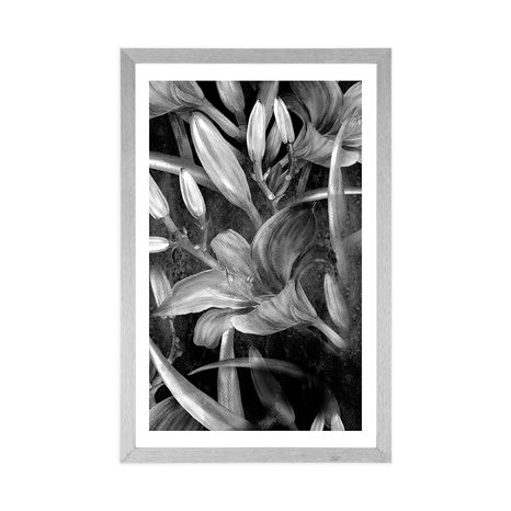 POSTER – FIORITURA DI GIGLIO IN BIANCO E NERO - NERO E BIANCO - POSTER