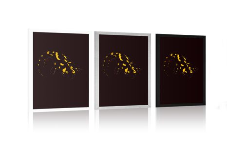 POSTER STRAHLENDER SALAMANDER - MOTIVE AUS UNSERER WERKSTATT - POSTER