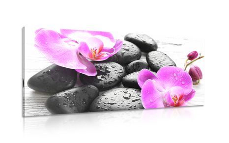 PICTURE MAGICAL INTERPLAY OF STONES AND ORCHIDS