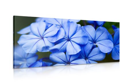 WANDBILD MALERISCHE BLAUE BLUMEN - BILDER BLUMEN - BILDER