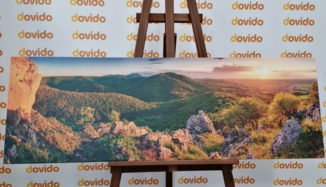 OBRAZ PŘÍRODA ZALITÁ SLUNCEM - OBRAZY PŘÍRODY A KRAJINY - OBRAZY