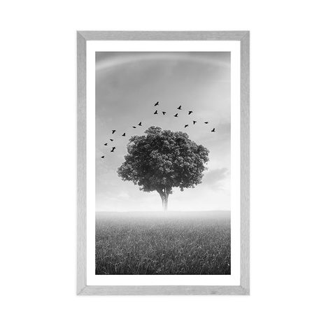 POSTER MIT PASSEPARTOUT ALLEINSTEHENDER BAUM AUF DER WIESE IN SCHWARZ-WEISS - SCHWARZ-WEISS - POSTER