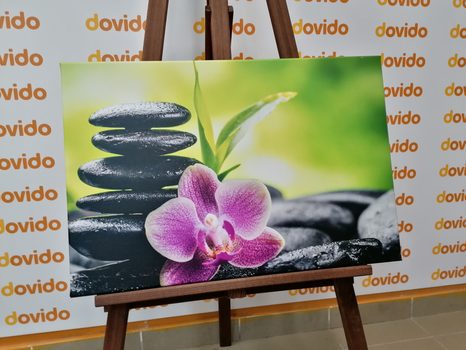 OBRAZ MEDITAČNÍ ZEN KOMPOZICE - OBRAZY FENG SHUI - OBRAZY