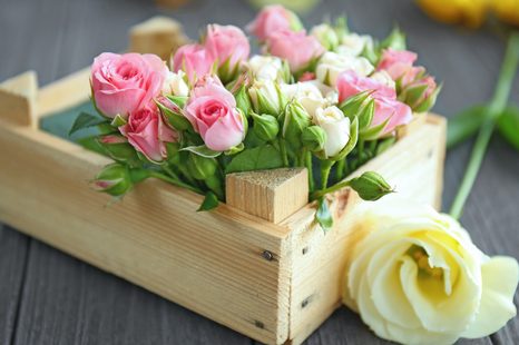 ΕΙΚΌΝΑ ΑΠΑΛΉ ΣΎΝΘΕΣΗ ΛΟΥΛΟΥΔΙΏΝ - ΠΊΝΑΚΕΣ ΝΕΚΡΉΣ ΦΎΣΗΣ - ΠΊΝΑΚΕΣ