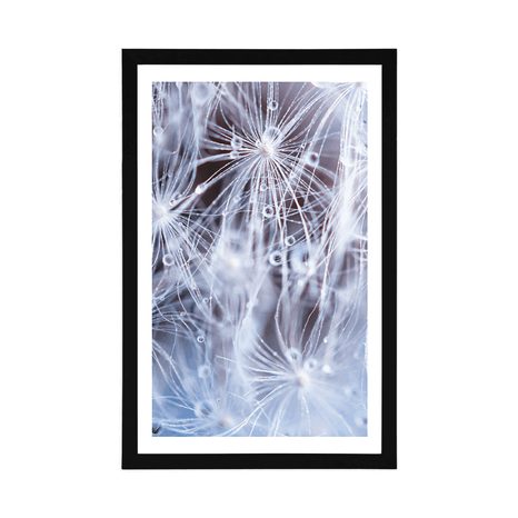 POSTER – MACRO DENTE DI LEONE - FIORI - POSTER