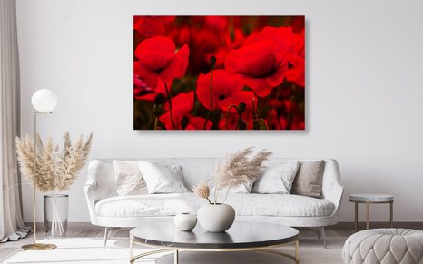 OBRAZ POLE DIVOKÝCH MÁKŮ - OBRAZY KVĚTŮ - OBRAZY