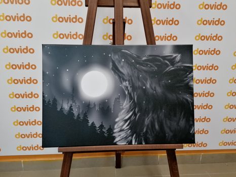 OBRAZ VLČÍ MĚSÍC V ČERNOBÍLÉM PROVEDENÍ - ČERNOBÍLÉ OBRAZY - OBRAZY