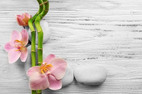 ΤΟΙΧΟΓΡΑΦΊΑ ΉΠΙΑ ΣΎΝΘΕΣΗ ΖΕΝ - ΤΑΠΕΤΣΑΡΊΕΣ ΦΕΝΓΚ ΣΟΎΙ - ΤΑΠΕΤΣΑΡΊΕΣ