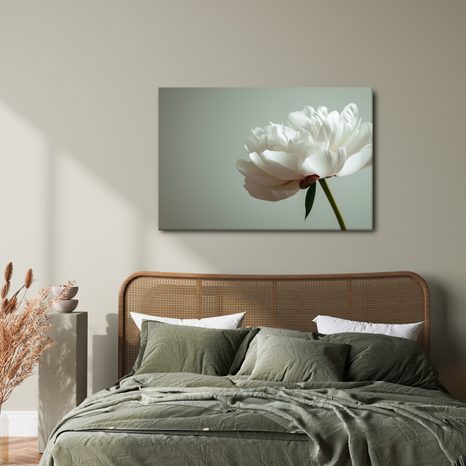 OBRAZ NĚŽNÁ BÍLÁ PIVOŇKA - OBRAZY KVĚTŮ - OBRAZY