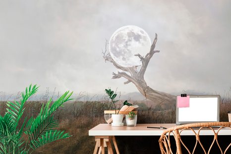 SELBSTKLEBENDE TAPETE MOND IN DEN ARMEN DER NATUR - SELBSTKLEBENDE TAPETEN - TAPETEN