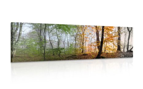 CANVAS PRINT FOUR SEASONS - PICTURES OF NATURE AND LANDSCAPE - PICTURES