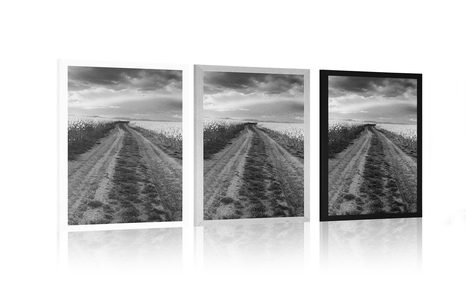 PLAKAT ZALAZAK SUNCA NAD POLJEM U SLOVAČKOJ U CRNO-BIJELOM DIZAJNU - CRNO-BIJELE - PLAKATI