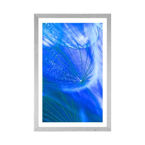 PLAGÁT S PASPARTOU KRÁSNA PÚPAVA V MODROM PREVEDENÍ - KVETY - PLAGÁTY