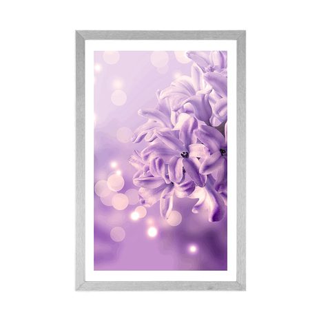POSTER MIT PASSEPARTOUT LILA FLIEDERBLÜTE - BLUMEN - POSTER