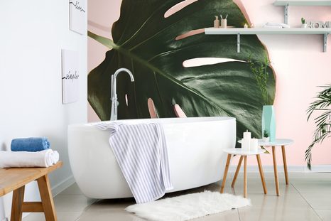 FOTOTAPETA LIST MONSTERY - TAPETY PŘÍRODA - TAPETY