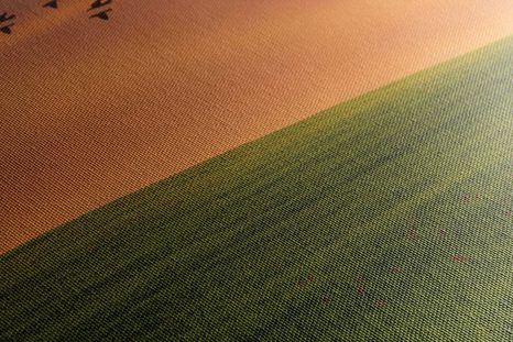 SLIKA DREVO NA TRAVNIKU - SLIKE NARAVE IN POKRAJINE - SLIKE