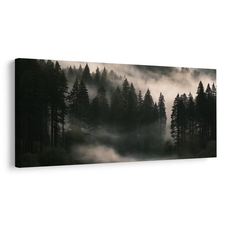 OBRAZ RANNÍ OPAR NAD LESEM - PICTURES FOREST - PICTURES