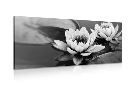 CANVAS PRINT LOTUS FLOWER IN THE LAKE IN BLACK AND WHITE - BLACK AND WHITE PICTURES - PICTURES