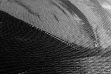 OBRAZ ČIERNOBIELY LIST MONSTERY - ČIERNOBIELE OBRAZY - OBRAZY