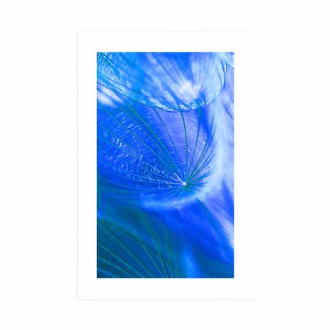 PLAGÁT S PASPARTOU KRÁSNA PÚPAVA V MODROM PREVEDENÍ - KVETY - PLAGÁTY