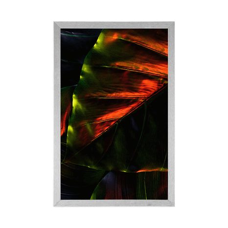 PLAKÁT TROPICKÉ PALMOVÉ LISTY - PŘÍRODA - PLAKÁTY