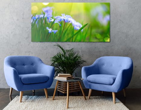OBRAZ KWIATY NA ŁĄCE WIOSNĄ - OBRAZY KWIATÓW - OBRAZY