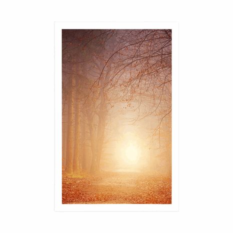 PLAKÁT LES V POHÁDKOVÝCH BARVÁCH - PŘÍRODA - PLAKÁTY