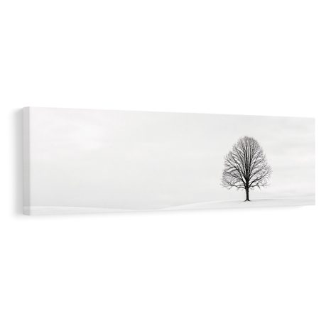 OBRAZ TICHÝ STROM ŽIVOTA NA PLÁNI - TREE OF LIFE - PICTURES