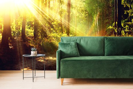 SAMOLEPÍCÍ FOTOTAPETA SLUNEČNÍ PAPRSKY V LESE - SAMOLEPÍCÍ TAPETY - TAPETY